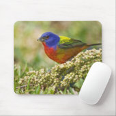 geverfde bundeling muismat (Met muis)