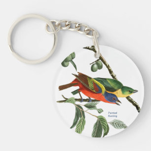 geverfde Bunting, Audubon, Birdwatcher Finch Bird, Sleutelhanger
