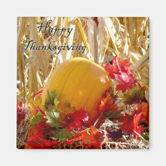 Gevestigd in rood magneet