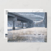 Gevist Briefkaart van het meer van Taneycomo Foggy (Voorkant / Achterkant)