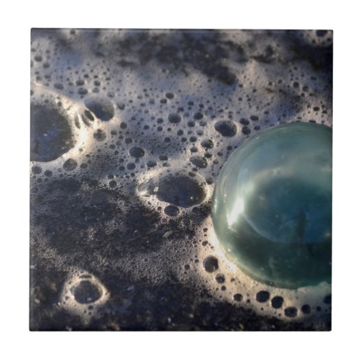 Gevist met brak water tegeltje (Voorkant)