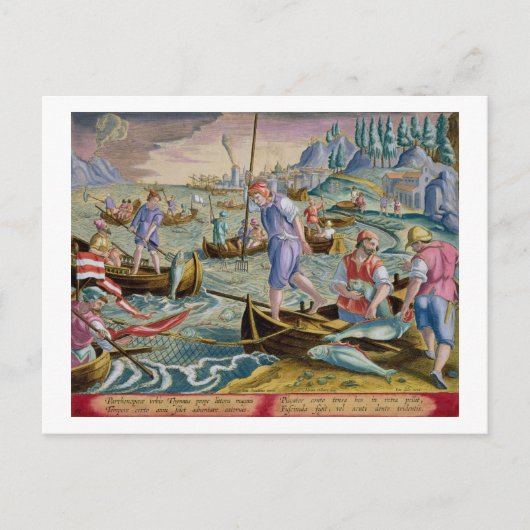 Gevist met nesten en stammen in de baai van Napel Briefkaart (Voorkant)