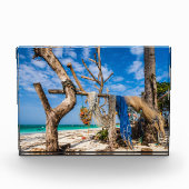 Gevist netten die op het strand drogen fotoblokken (Voorkant)