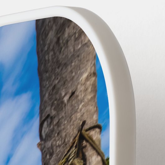 Gevist netten die op het strand drogen pickleball paddle (Links Detail)