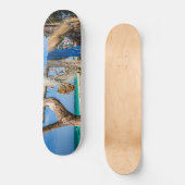 Gevist netten die op het strand drogen skateboard (Voorkant)