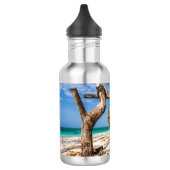 Gevist netten die op het strand drogen waterfles  (Links)