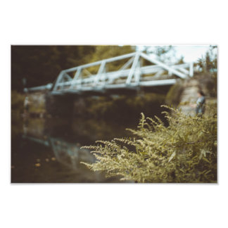 Gevist onder de brug foto afdruk