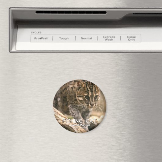 Geviste kat magneet (Insitu (Vaatwasser))