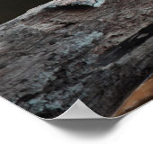 Geviste vis poster (Hoek)