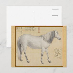Gevlekt grijs paard - Vintage Chinese fijne kunst Briefkaart