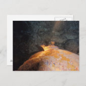 Gevlekt in de Spotlight Briefkaart (Voorkant / Achterkant)