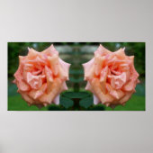 Gevlekt perzik Roos in Bloom Mirror Abstract Poster (Voorkant)