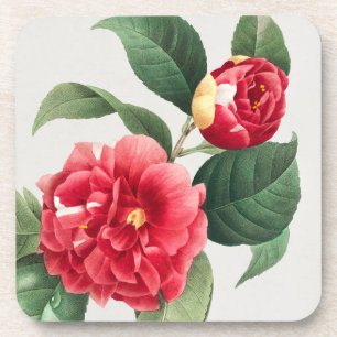 Gevlekte Camellia, Pierre-Joseph Redouté, 1833 Bier Onderzetter