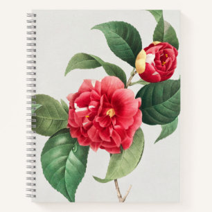 Gevlekte Camellia, Pierre-Joseph Redouté, 1833 Notitieboek