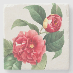 Gevlekte Camellia, Pierre-Joseph Redouté, 1833 Stenen Onderzetter
