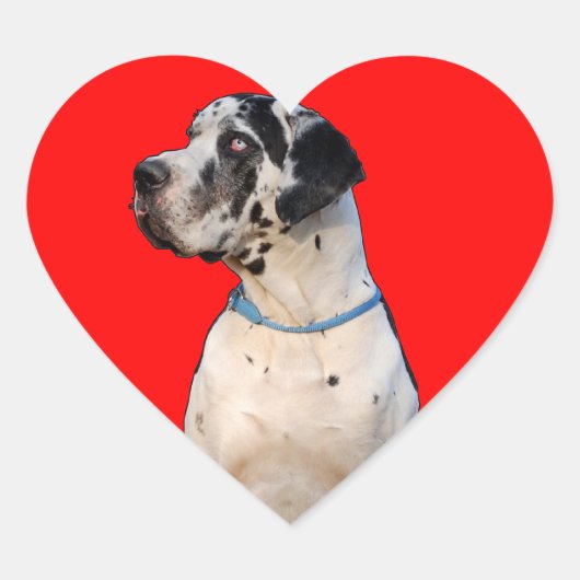 Gevlekte Dog Hart Sticker (Voorkant)