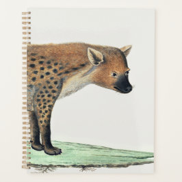 gevlekte hyena-illustratie | Africa Animal Jigsaw Planner