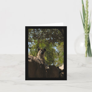 Gevlekte Hyena Natuur Lovers Valencia Vertical Sti Kaart