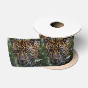 gevlekte jaguar gezicht omhoog dicht in het bos, lint