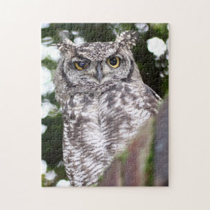 Gevlekte Ooruil Roofvogel Legpuzzel