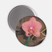 gevlekte orchidee magneet (Voorkant / Achterkant)