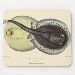 Gevlekte Stingrays, Vintage Mariene Oceaan Dieren Muismat