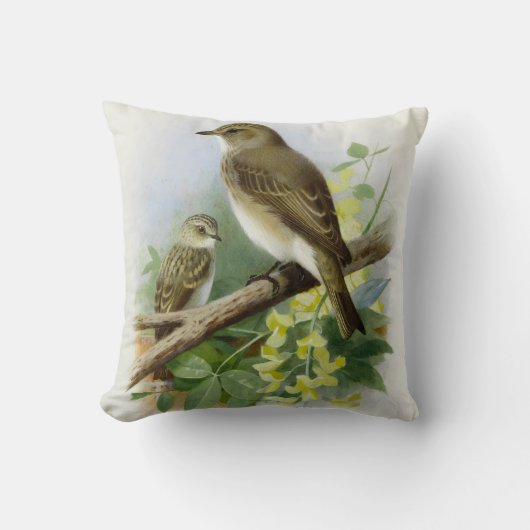 Gevlekte vliegenvangers, kunstillustratie kussen (Voorkant)