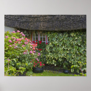 Gevleugelde cottage, Adare, County Limerick, Poster