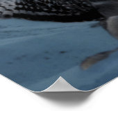 gevleugelde wolf poster (Hoek)