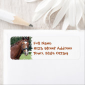 Gevlochten Paard Mane Mailing Label (Insitu)