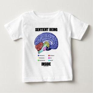 Gevoelig binnenin (anatomisch brein)