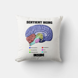 Gevoelig in het anatomisch brein kussen