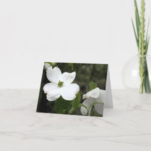 Gevoelige Kornoelje Notecard Kaart