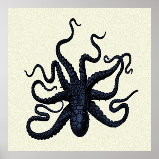 Gevoelige Octopus Print (Voorkant)