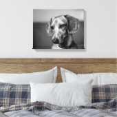 Gevoelige teckel canvas afdruk (Insitu (Slaapkamer))