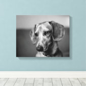 Gevoelige teckel canvas afdruk (Insitu (Houten vloer))