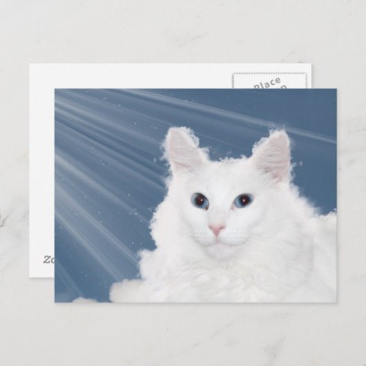 Gevoelloosheid bij huisdieren briefkaart (Voorkant / Achterkant)