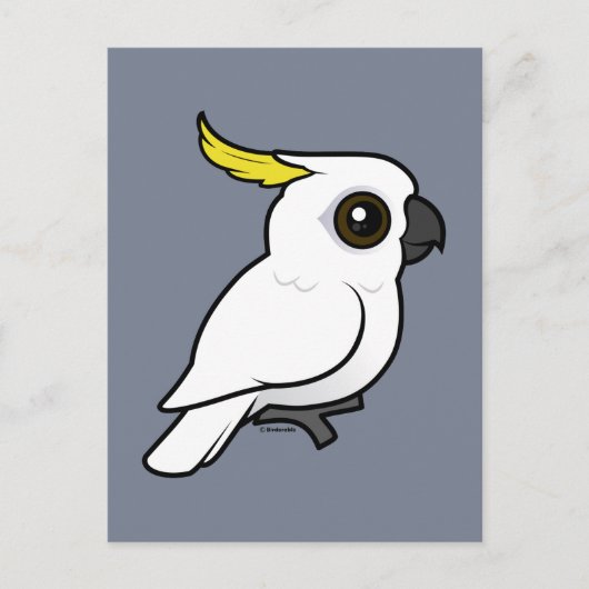 Gevogelte met zwavelcreest Cockato Briefkaart (Voorkant)