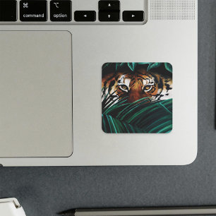 Gevolgde ogen vierkante sticker