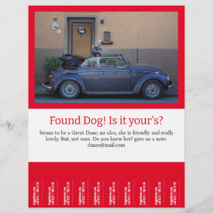 Gevonden tandbaars uit flyer