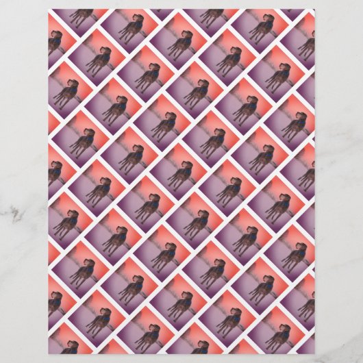 Gevonden tandbaars uit flyer (Achterkant)