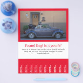 Gevonden tandbaars uit flyer (Enkel)