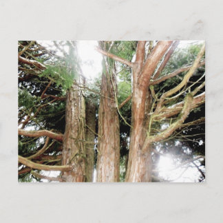 gevonden veiligheid briefkaart