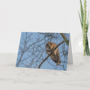 Gevouwen Blank Notecard van een Barred Owl Bedankkaart