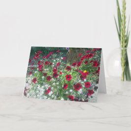 Gevouwen Kaart met Alpine Petunia's