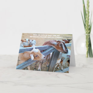 Gevouwen Kaart van 7 x 5 inch   Hey-Hay! Waar is d