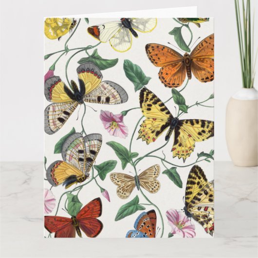 Gevouwen Vintage Kaart van Butterfly (Voorkant)
