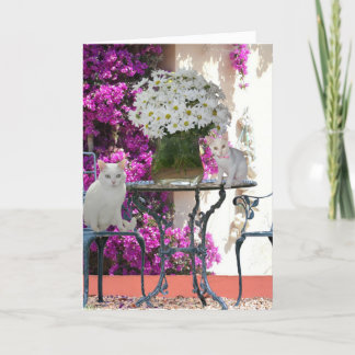 Gevouwen Wenskaart Kaart