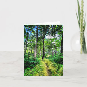 Gevouwen wenskaart met bosfoto kaart