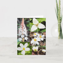 Gevouwen wenskaart met collage van wilde bloemen